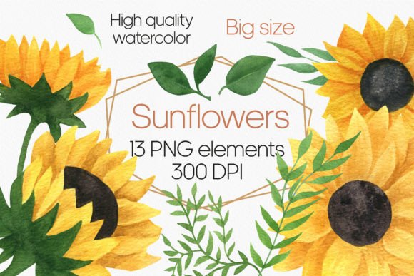 Download Sunflower Watercolor Clipart PNG - Png Collection