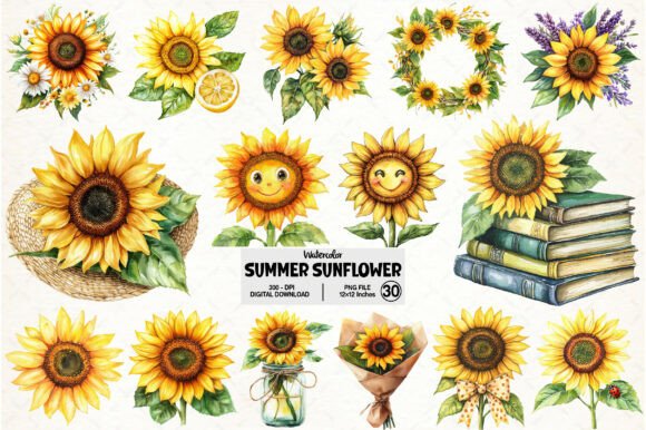 Download Watercolor Summer Sunflower Clipart - Premium Resources