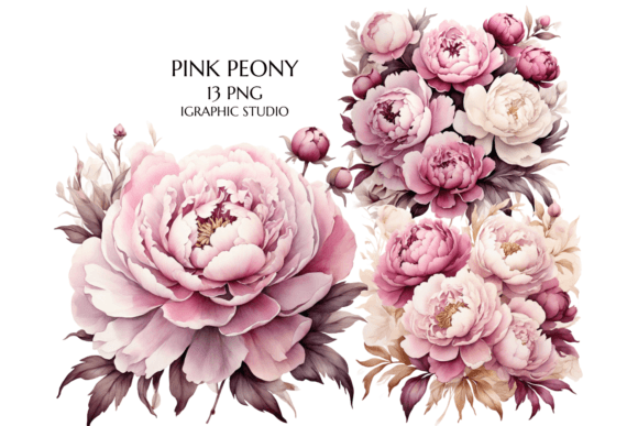 Download Pink Peony Clipart, Peonies Png - Png Collection